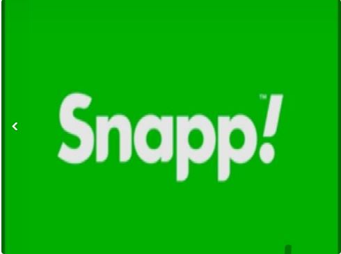 استخدام بازاریاب میدانی اسنپ