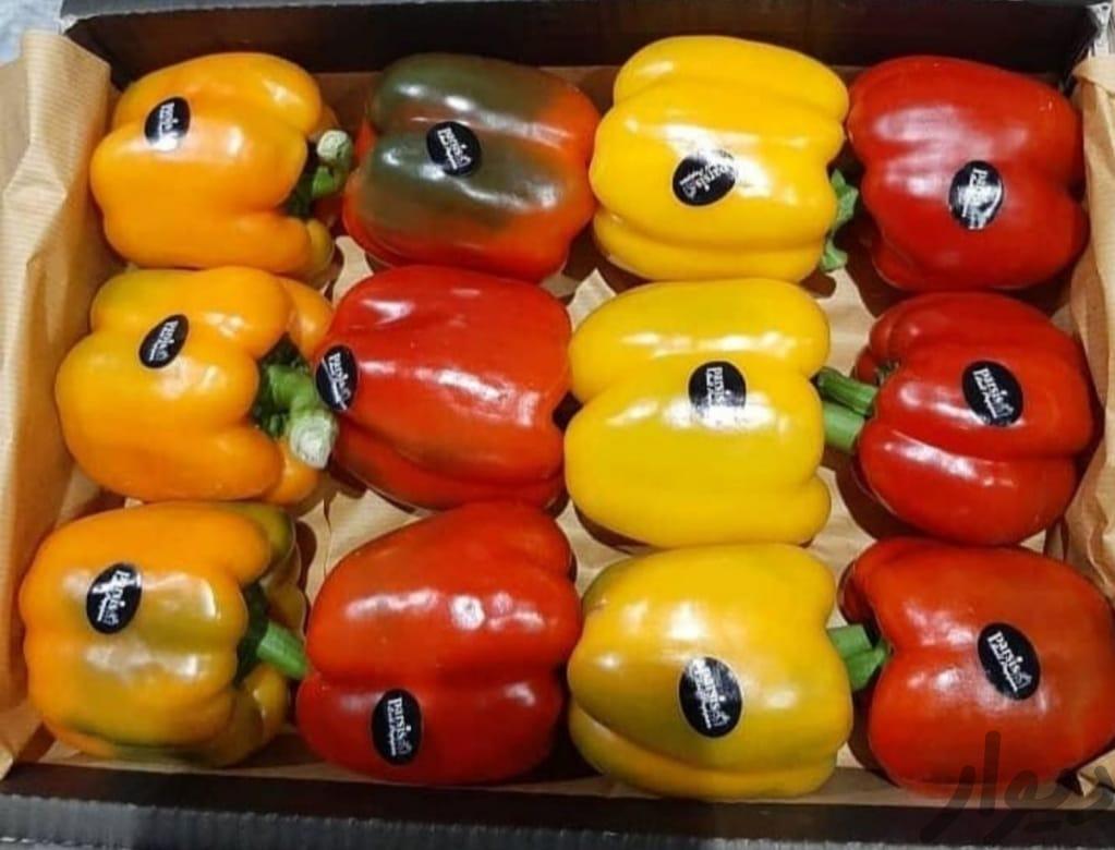 سرمایه گذاری/ صادرات میوه به روسیه نیازمندیم