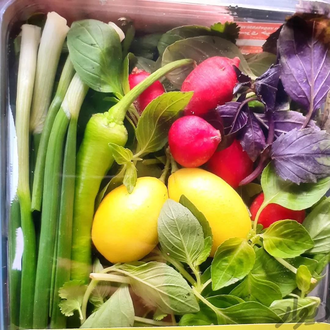 استخدام راننده با ماشین پخش حقوق روزانه