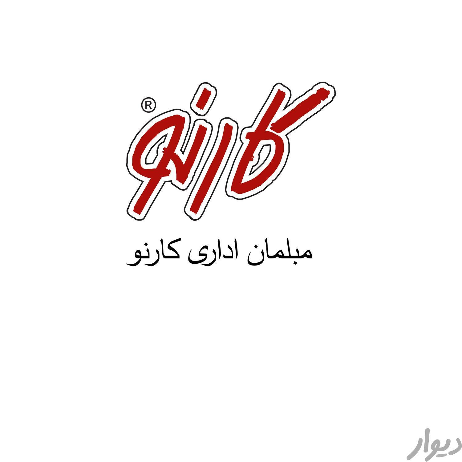 طراح خانم مسلط به نرم افزار اتوکد و رویت