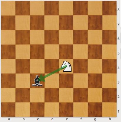 آموزش حرکت اسب