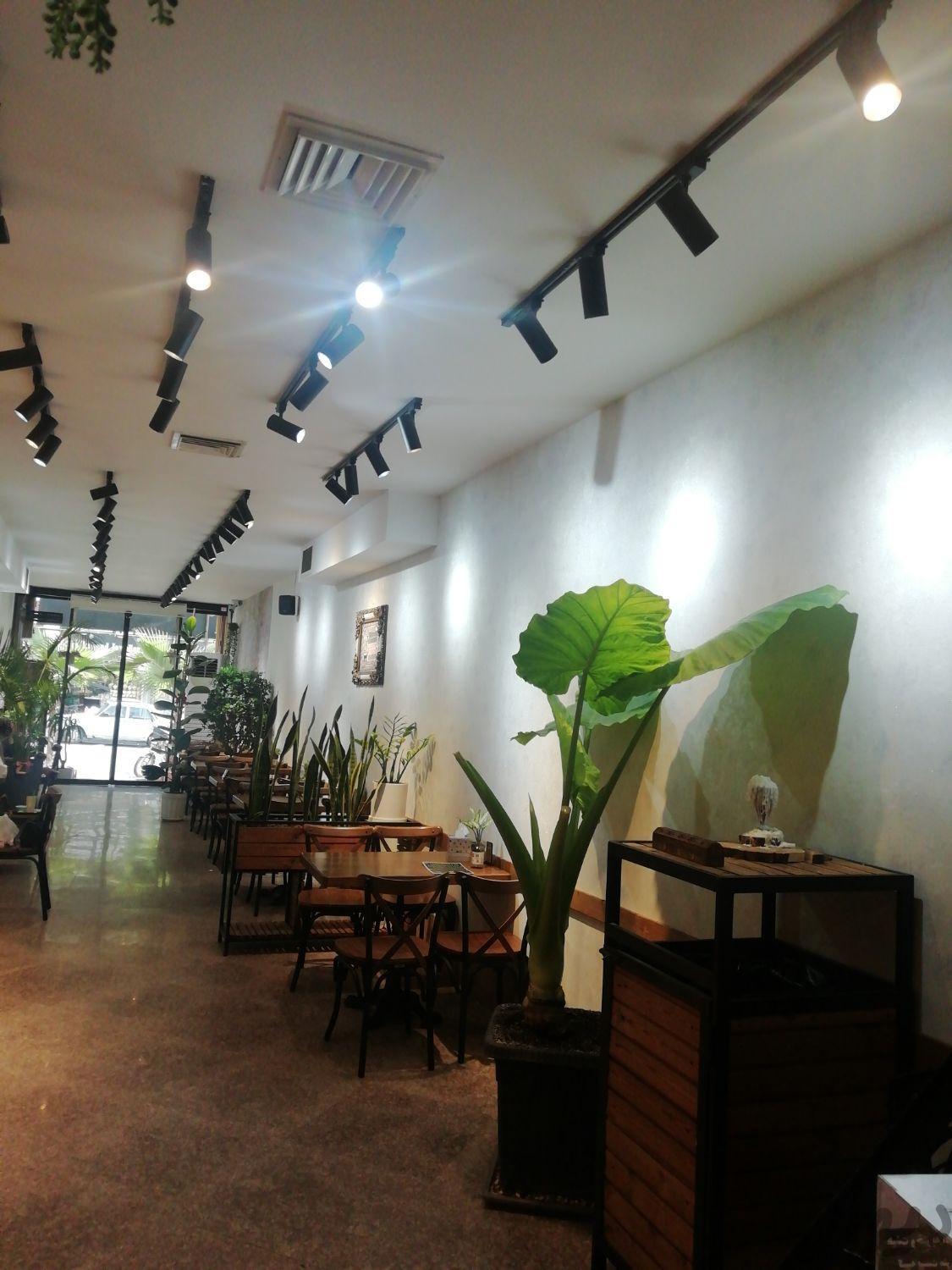 نظافت و اماده سازی اجناس و اشپزی